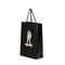 Full Colour Printed Matt Boutique Bags with PP Rope Handles