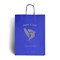 Ocean Blue Branded Paper Bags with Twisted Handles